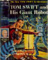 TSw4_Robot.jpg (85231 bytes)