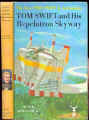 TSJ22_Skyway.jpg (60881 bytes)