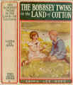 BT35_Cotton.jpg (68203 bytes)